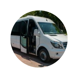 Mercedes Sprinter (19 passengers + guide + driver)