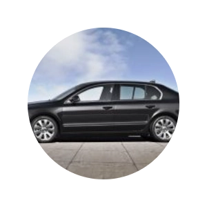 Škoda Superb (3 passengers + driverguide)